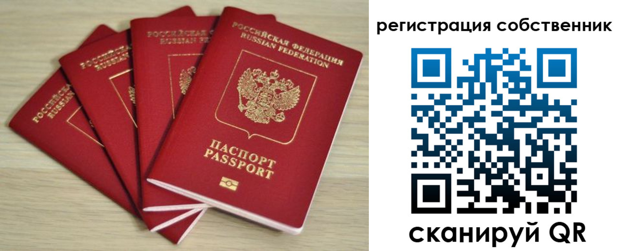 прописка регистрация в Владимирской области